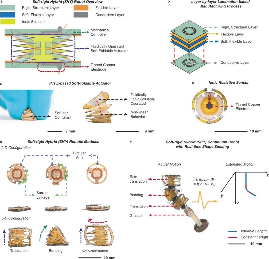 波士顿大学研究团队打造毫米级自感知软刚混合机器人 解决小型软机器人制造与集成难题(图1)
